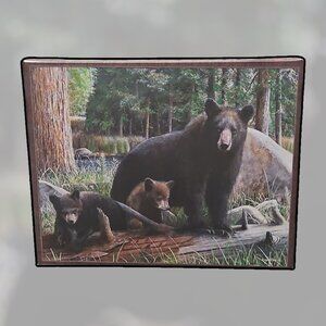 American Black Bear with Cubs .75" Stretched Canvas Wildlife Nature Art